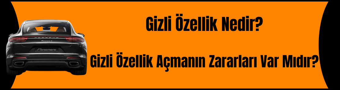 Gizli Özellik Nedir?