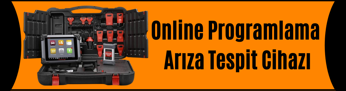 Online Programlama Arıza Tespit Cihazı