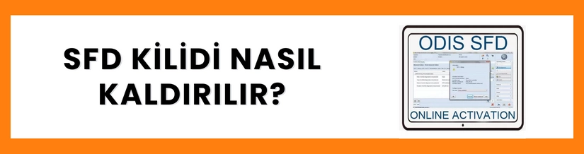 SFD Kilidi Nasıl Kaldırılır?