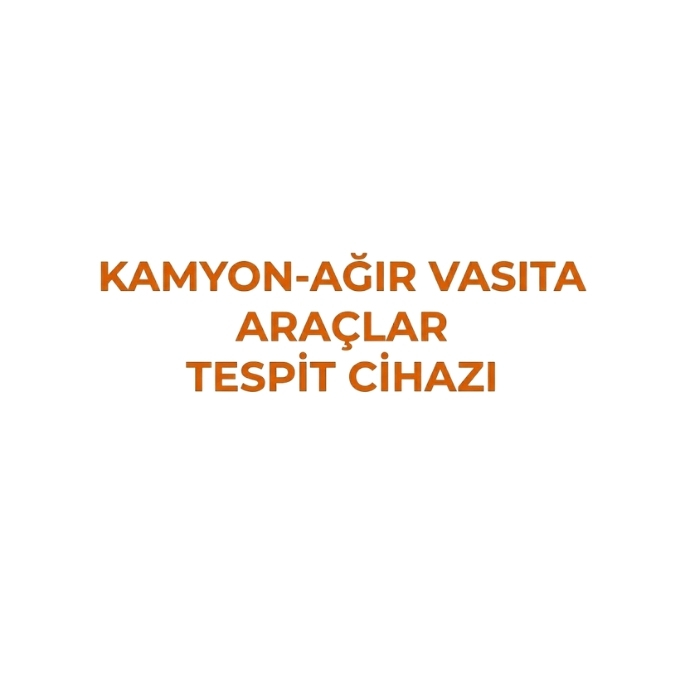 Kamyon-Ağır Vasıta Araçlar Test Cihazı