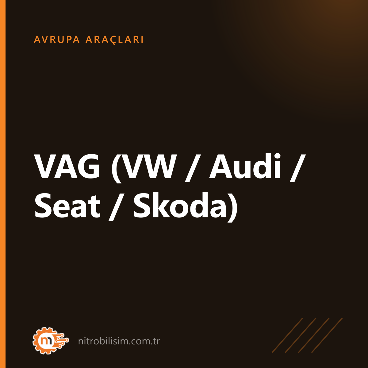 VAG (VW / Audi / Seat / Skoda)
