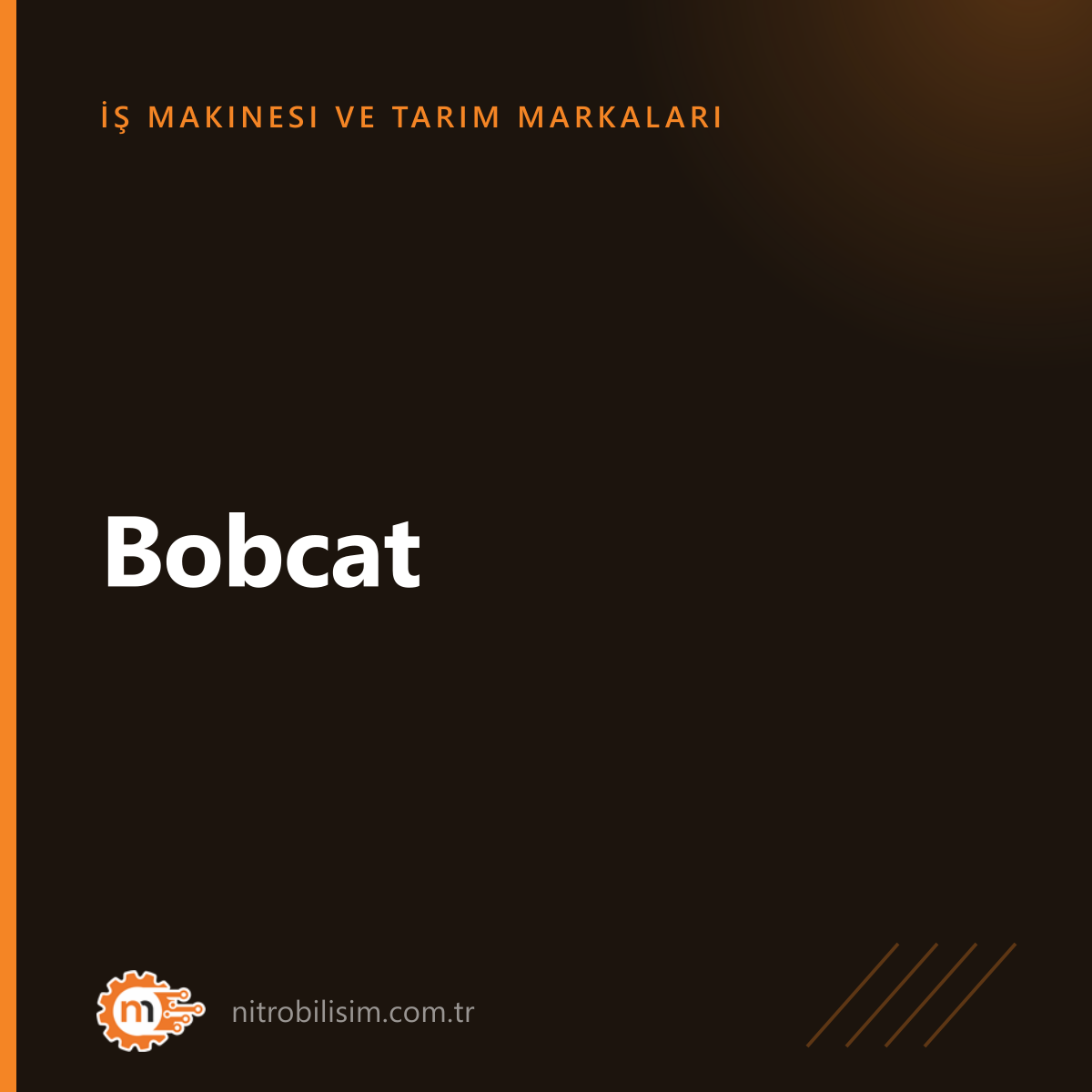 Bobcat