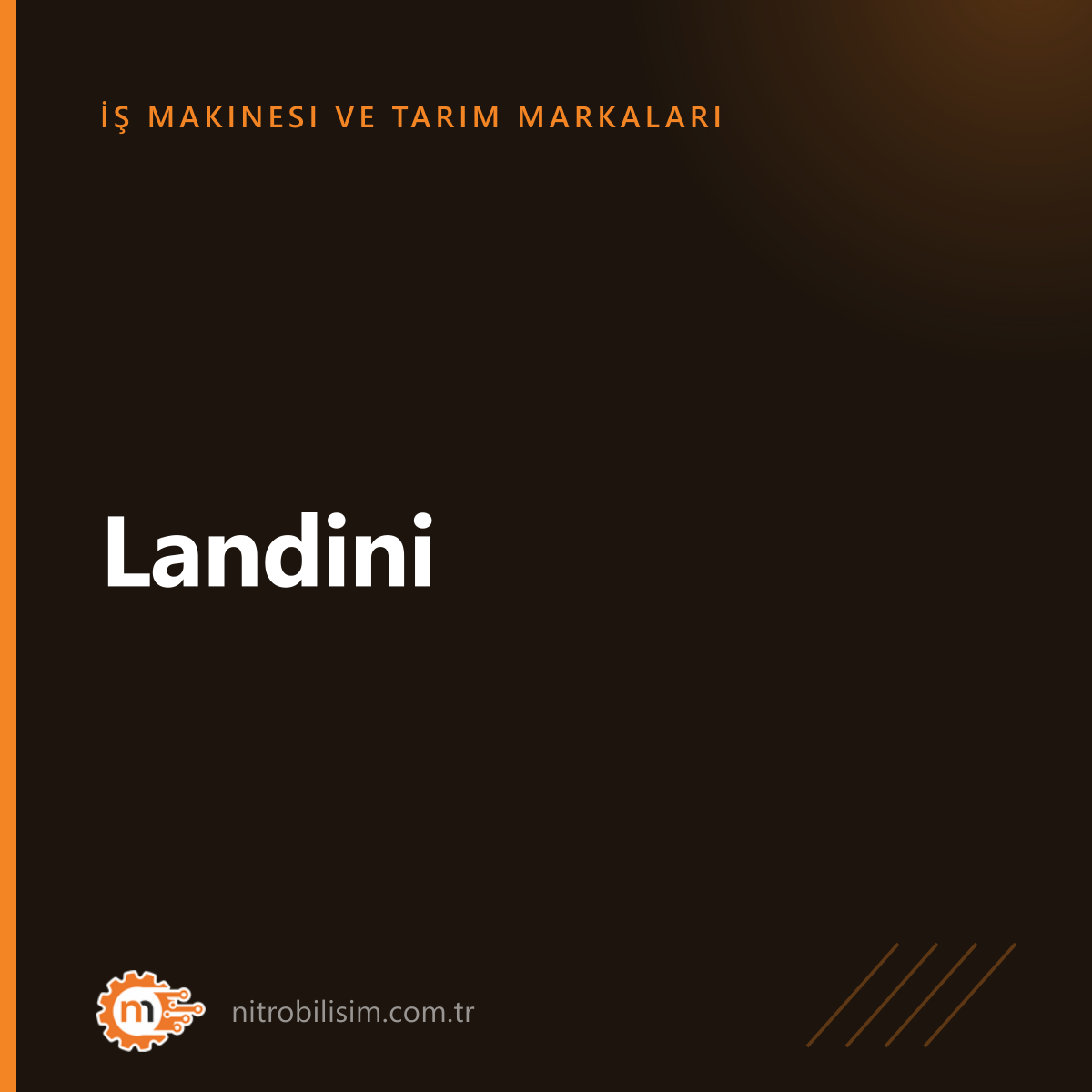 Landini